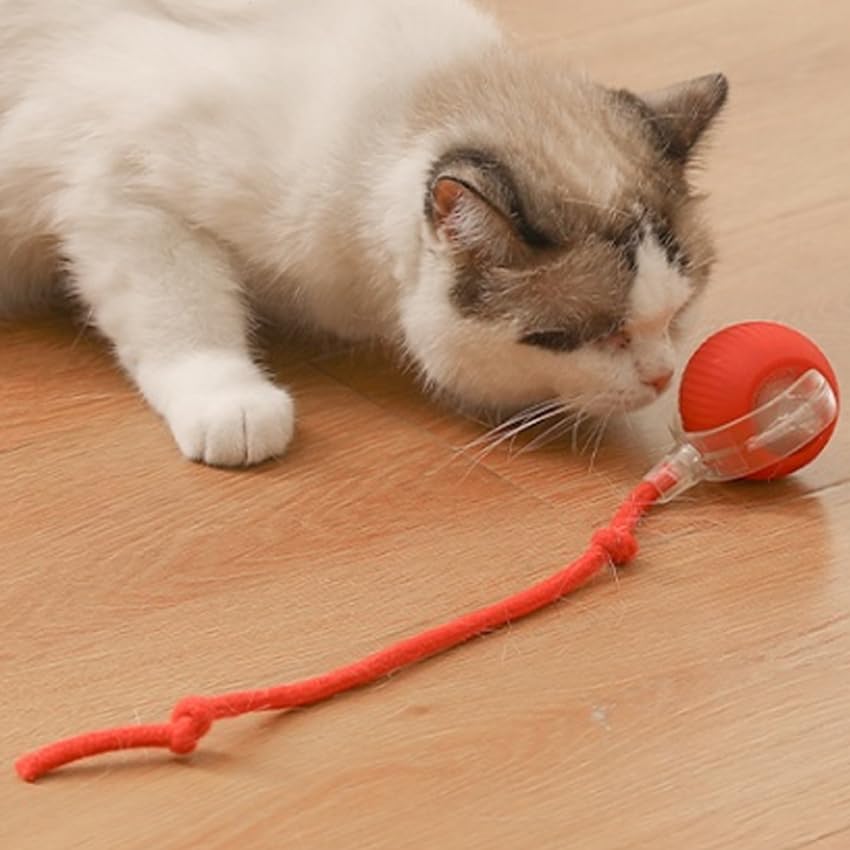 Rolling Ball